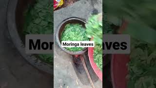 Moringa Leaves Curry Recipe #moringarecipe #keralarecipies #southindianrecipe