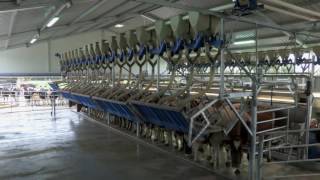 DeLaval Parallel Parlour