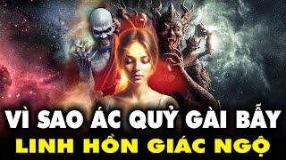 Vì Sao Vũ Trụ Không Ngừng Thử Thách Những Linh Hồn Giác Ngộ? | BA Universe