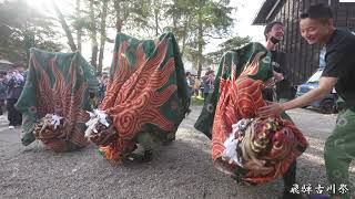 飛騨古川祭 古川祭の獅子舞(宮本組) 2023年 / 岐阜県飛騨市