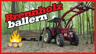 Brennholz machen mit Opa | IHC 745 AS | #brennholz #tractor #caseih