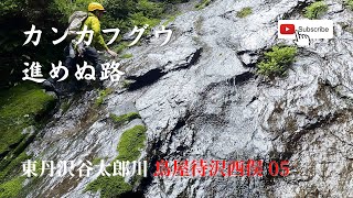 東丹沢谷太郎川 鳥屋待沢 05 | カンカフグウ 進めぬ路 [ ALPINE CLUB TOKYO 公式チャンネル ]