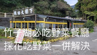 《北市•食》竹子湖餐廳推薦|竹子湖土雞青菜餐廳|竹子湖野菜餐廳～湖田大樹下（20210216）