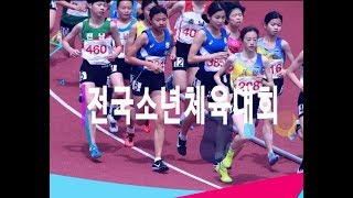 전국소년체육대회(2018)