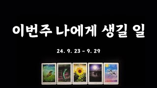 [타로] 이번주 나의 일과 사랑🌿