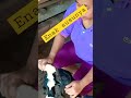 susu kambing etawa - enak luar biasa