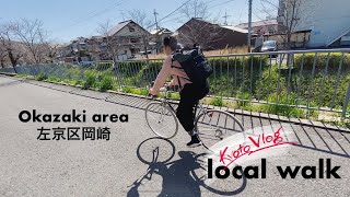 Kyoto Vlog#3 / local walk in Okazaki area / 左京区岡崎をお散歩♪