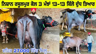 ਨਿਸ਼ਾਨ ਰਸੂਲਪੁਰ ਕੋਲ 3 ਮੱਝਾਂ 13-13 ਕਿੱਲੋ ਦੁੱਧ ਤਿਆਰ।ਵਹਿੜ 27000 ਵਿੱਚ। ਪਿੰਡ ਰਸੂਲਪੁਰ ਨਹਿਰਾਂ