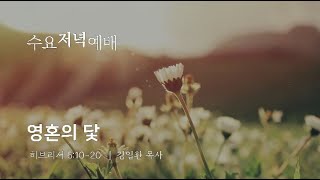 히브리서 6장 10-20절 | 영혼의 닻 | 2025-02-26(수) | 충성교회 수요2부예배 | 김일환 목사