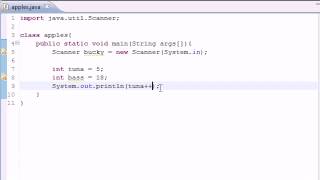 Part 9: Java Programming Tutorial - Increment Operators