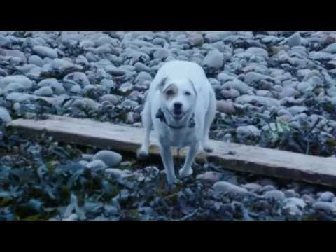 lady-bay-lola-slow lady-bay-lola-slow