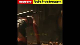 सरदार हरि सिंह नलवा जिन्होंने शेर को ही फाड़ डाला 👏!!|#Hari shingh nalva #facts #shorts
