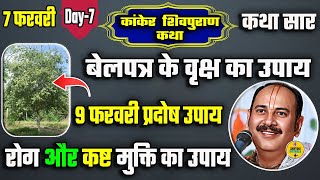 7 फरवरी Day 7 कांकेर शिवपुराण कथा | 9 फरवरी प्रदोष उपाय | बेलपत्र के वृक्ष का उपाय |