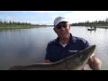 incredible walleye and pike fishing on the attawapiskat river season 2 episode 3