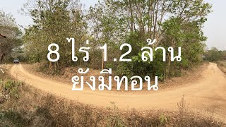 #ที่สวย ที่ดินราคาถูก 8 ไร่ 1.5 แสน/ไร่ ใน  อ แม่ทะ ลำปาง ลำปาง