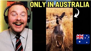 Canadian Reacts to Only in Australia Funny Video Compilation