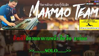 ฆ่าอ้ายให้ตายสา - ไหมไทย หัวใจศิลป์  Cover MiDi คาราโอเกะ