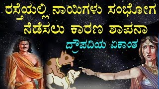 ನಾಯಿಗಳಿಗೆ ಶಾಪ ನೀಡಲು ದ್ರೌಪದಿಯ ಕೋಪಕ್ಕೆ ಕಾರಣವಾದ ಆ ಘಟನೆ ಯಾವುದು ಗೊತ್ತಾ