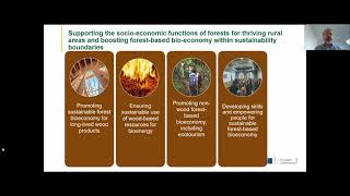 La gestion forestière dans les régions des Quatre Moteurs pour l'Europe