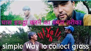 how to collect grass Easily.| घास कैसे इकट्ठा करें