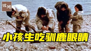 因纽特小孩生吃驯鹿眼睛，就像是吃糖一样，简直不可思议 | 世间放映厅