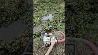 Amazing Fishing Trick You Shoud Watch With Click Trap In 2021 #Monkey #Short #EP803