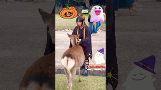 ハロウィン🎃鹿にセンベイ与える外国人観光客🫎奈良公園