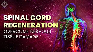 Spinal Cord Regeneration: Overcome Nervous Tissue Damage | Recover From Spinal Cord Injuries | 250hz