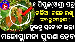 ୧ ପିପ୍ପଳ(ଓସ୍ତ) ପତ୍ର ତକିଆ ତଳେ ରଖି ଦେଖନ୍ତୁ ଚମତ୍କାର | Awesome Wish Fulfillment Tantra Mantra Vasikaran