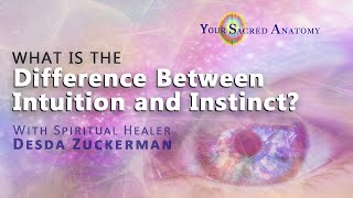 What's The Difference Between Intuition And Instinct?