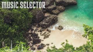 Broken Elegance - Echo ( No Copyright Music )