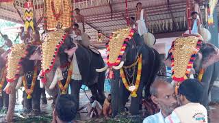 Panchari melam by Kizhakoot aniyan marar, Kelath aravindakshan marar, cherussery kuttan marar etc.