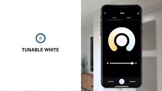 Tunable White Feature | How to Regulate Light Temperature