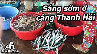 Phan thiết phố   Buổi sáng ở CảngThanh Hải , toàn hải sản tươi