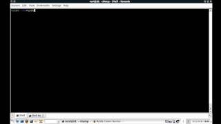 Python SQL Dumper | Blind Injection Example