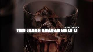 Teri Jagah Sharab Ne Le li  | Slowed | Reverb | Hla Edits