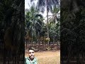 ungal cocunut nunban for nuts cutting coconut ajoygreenshort tamil nature