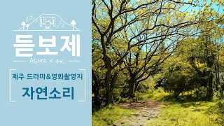 [4K x ASMR] 🎧듣고👀보는제주 🌲자연의소리 ｜ 듣보제 2편 제주 드라마\u0026영화 촬영지 소리｜사랑의불시착, 구가의서, 봉오동전투 [ENG, CHI, JPN SUB]