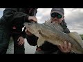 huge walleye using side scanning on hawk lake fish n canada