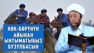 Садыбакас ажы Доолов. Көк-бөрүнүн айынан ынтымагыбыз бузулбасын.