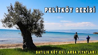 Pelitköy, Burhaniye (Pelitköy Satılık Ev ve Arsa Fiyatları?)