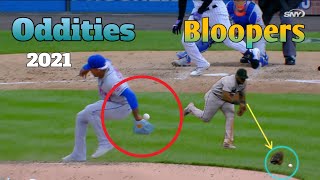 MLB | Oddities Compilation 2021 🤣