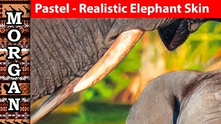 PASTEL PENCILS - Realistic elephant skin lesson, Jason Morgan wildlife art