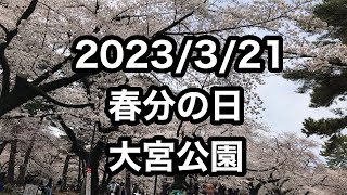 【2023年3月21日(火)】【大宮公園】