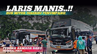 LARIS MANIS ⁉️BUS MIYOR PRIMA ABADI DISERBU PENUMPANG