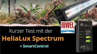 Kurzer Test mit der Juwel HeliaLux Spectrum LED + SmartControl