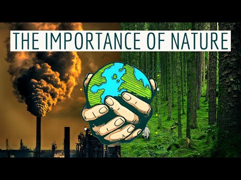 Why is the natural world important?