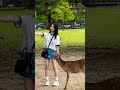 nara park japan🦌🇯🇵4k