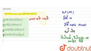 मूल गोप (root cap) नहीं पाया जाता है  | CLASS 14 | प्रैक्टिस सेट 6 (पेपर II) | BIOLOGY | Doubtn...