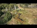 blackburn lake nature reserve 2024 09 27